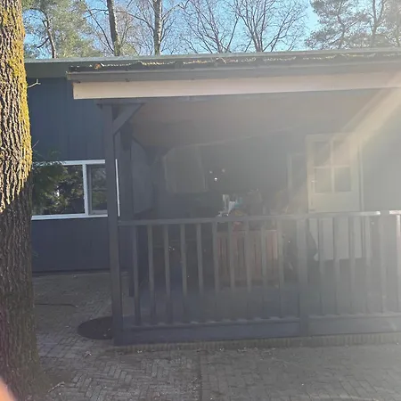 Gezellig Met Openbaar Zwembad Op De Veluwe!
