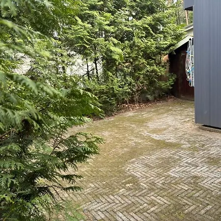 Gezellig Met Openbaar Zwembad Op De Veluwe! *