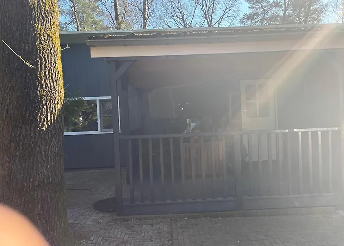 Gezellig Met Openbaar Zwembad Op De Veluwe!