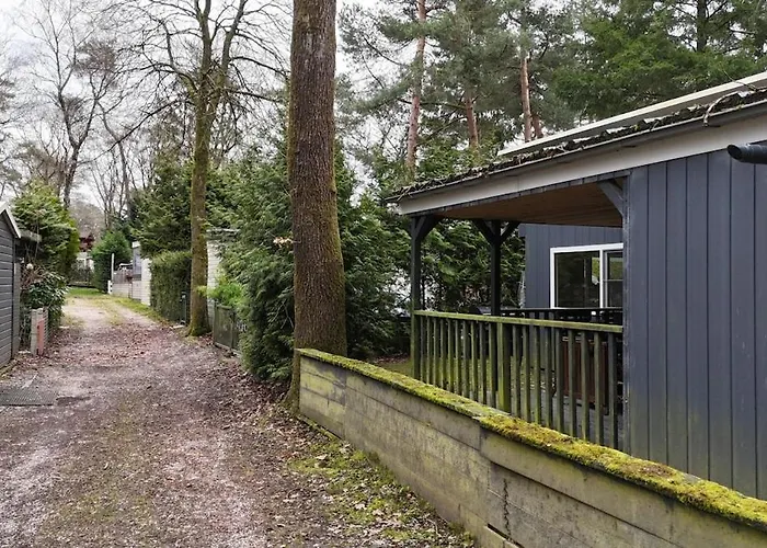 Gezellig Met Openbaar Zwembad Op De Veluwe!