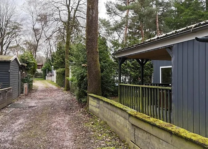 Gezellig Met Openbaar Zwembad Op De Veluwe! Hoenderloo