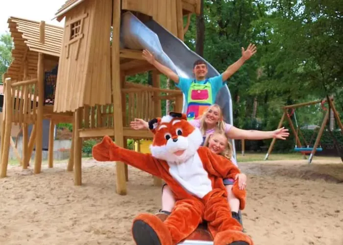 Gezellig Met Openbaar Zwembad Op De Veluwe! Chalet