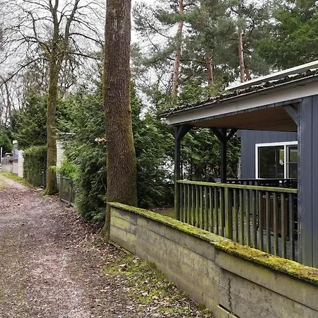Gezellig Met Openbaar Zwembad Op De Veluwe!